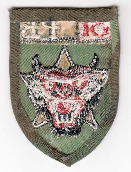 ARVN Ranger Camouflage Patch (674) – The Dog Tag